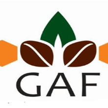 GAF